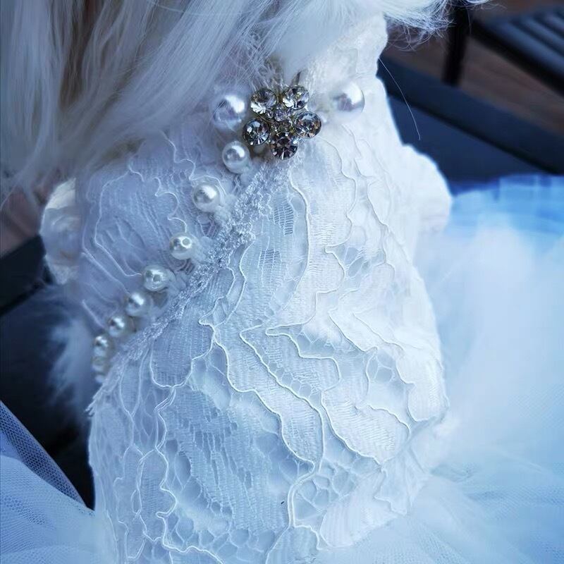 ロングドレス グラデーションブルー プチプラでも可愛い愛犬のお洋服通販 Sunnysevenpet