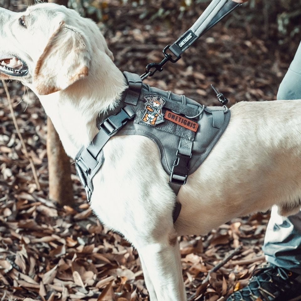 犬 ハーネス 大型犬 Onetigris 抜けない 簡単装着 引っ張り防止 中型犬