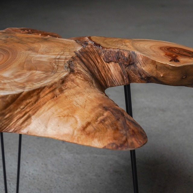 楠の輪切り 一枚板 コーヒーテーブル （高さ・カラー変更無料）