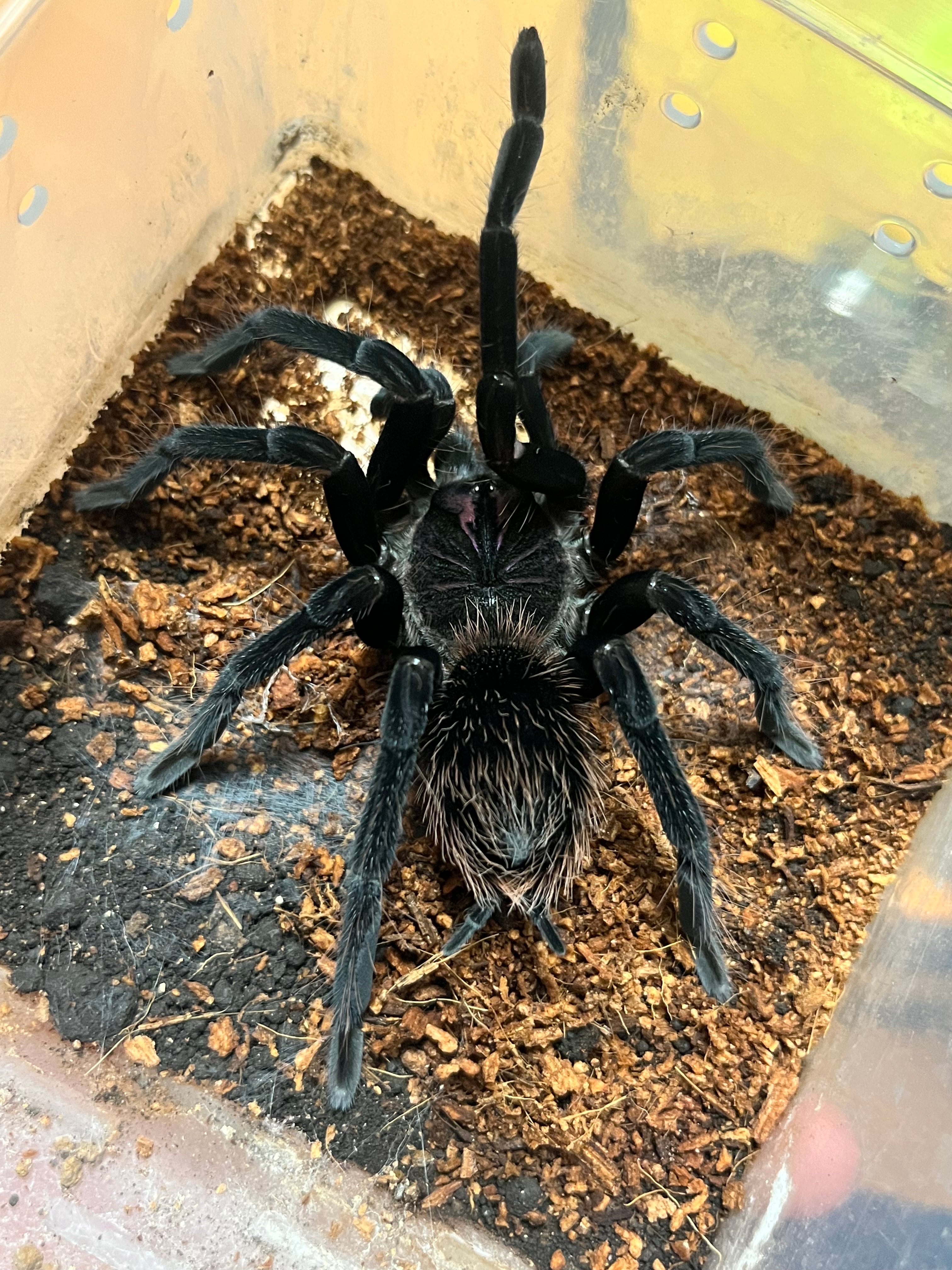 6650c1d44b8f141445abe9d1fa1c5d