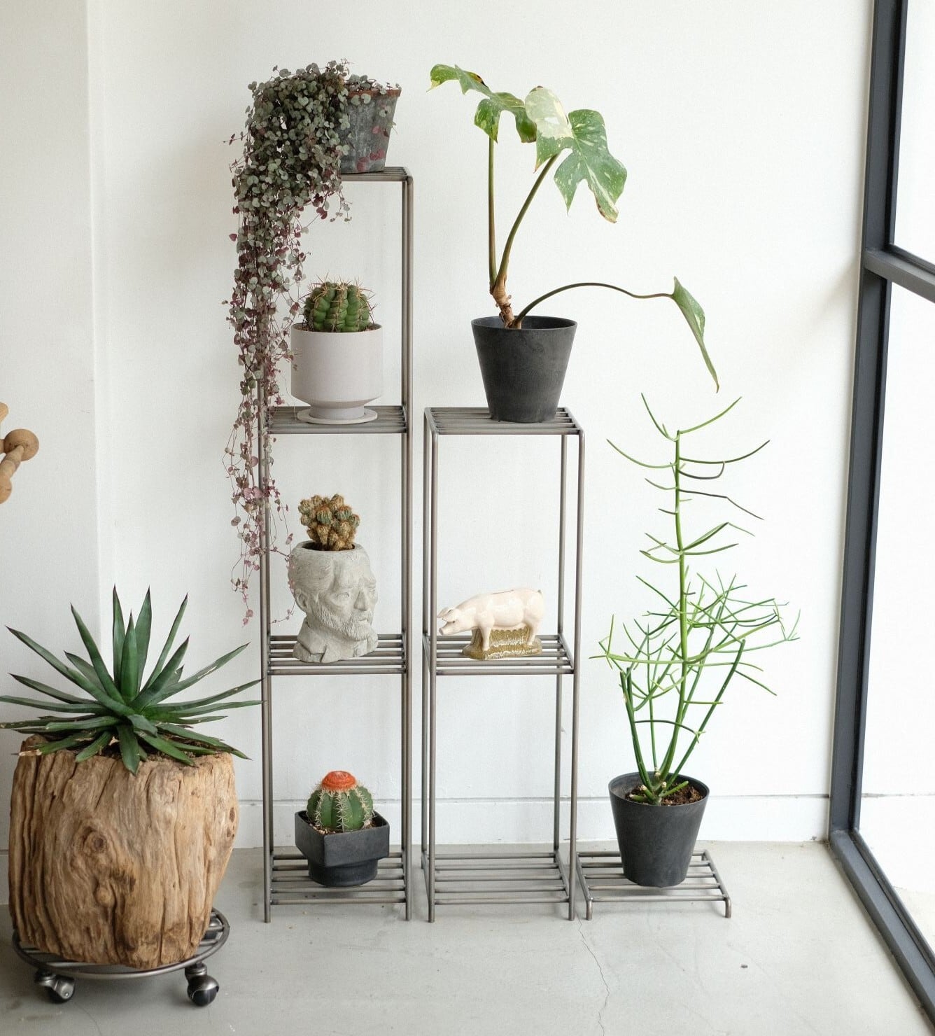 【WEST VILLAGE TOKYO KNOP】 植物スタンドL・M2点セット KNOP LOW STANDS | WEST VILLAGE TOKYO
