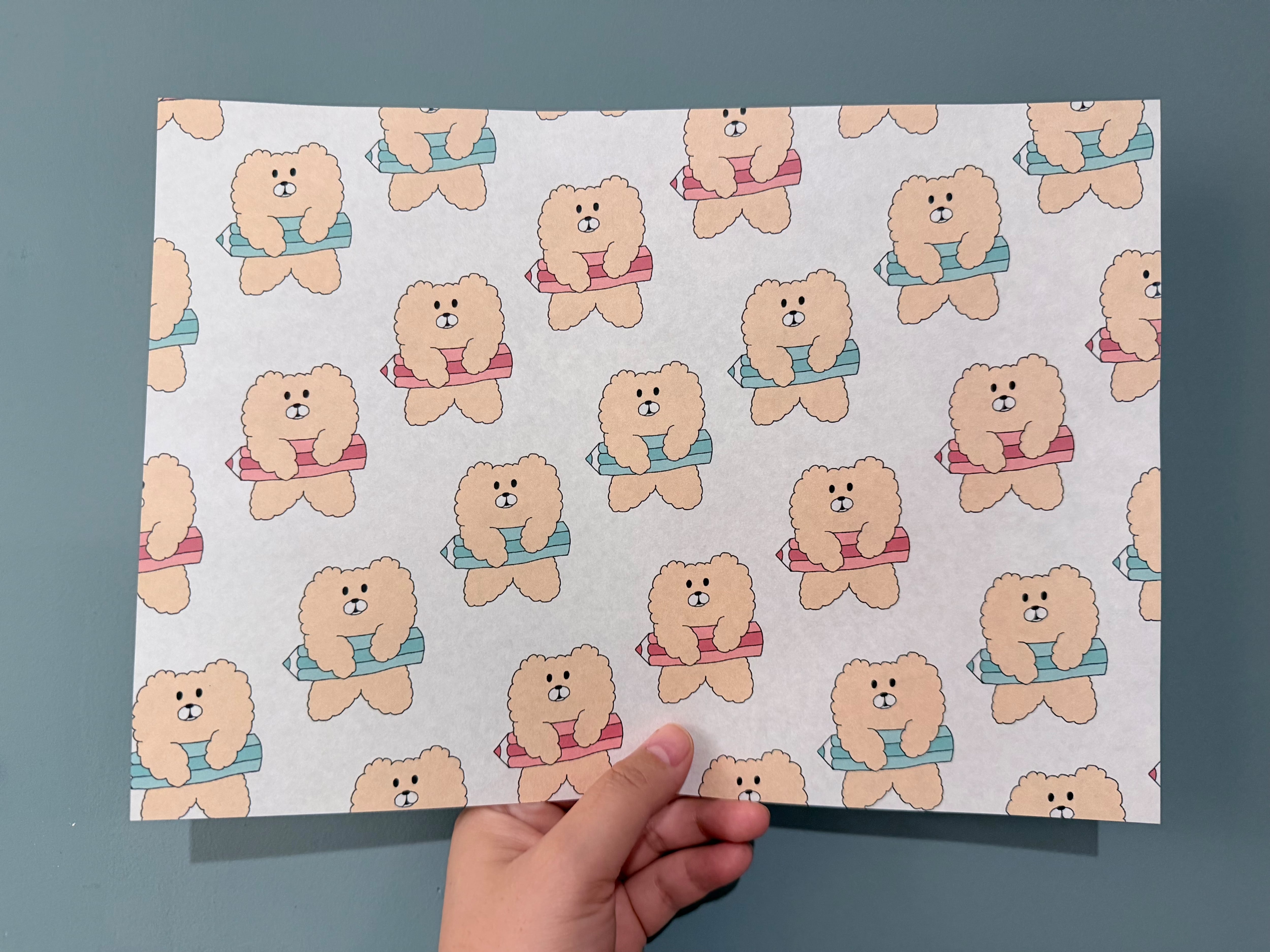 BB BEAR PAPER _ 鉛筆、本2026