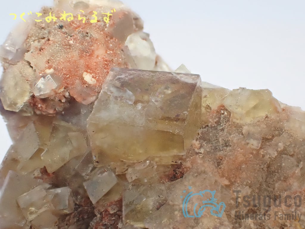 フローライト 蛍石 Fluorite チェコ TM-0002