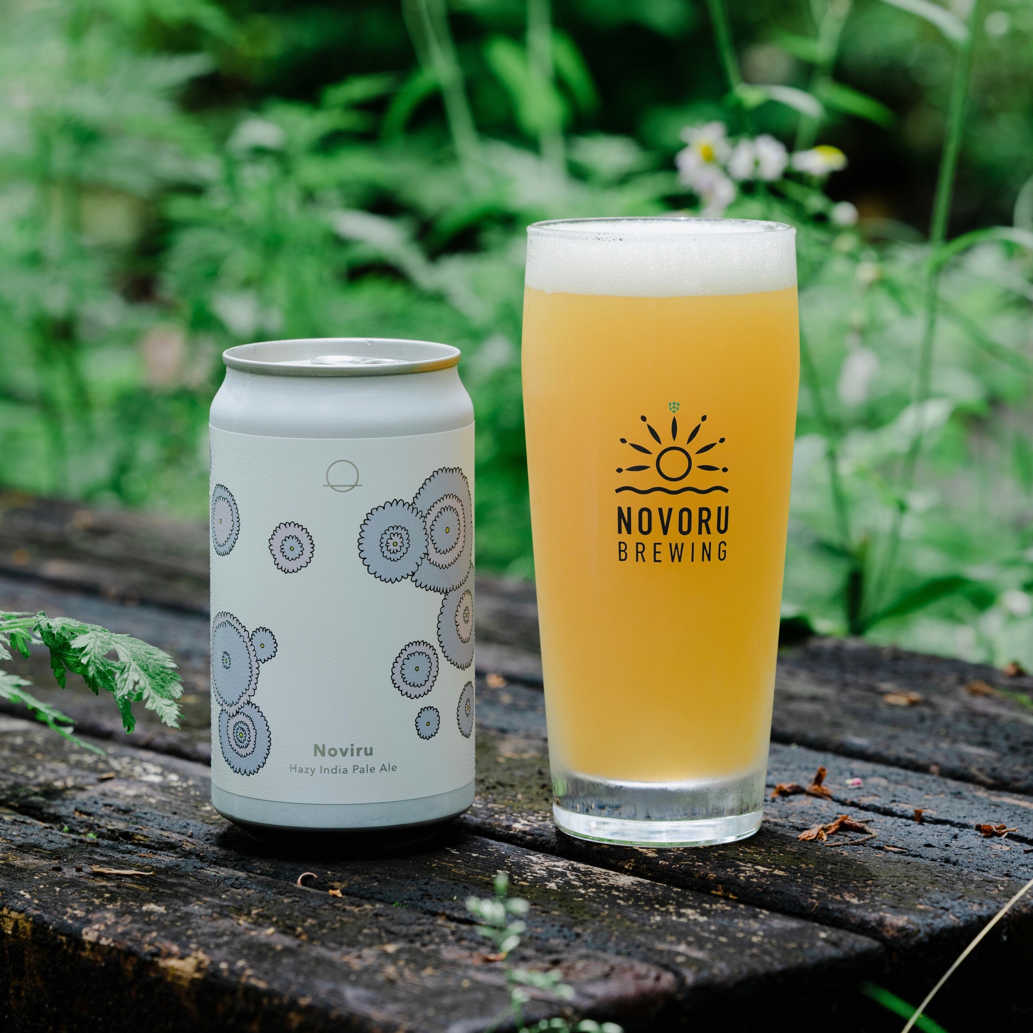 NoviruⅡノビル2 / DDH NZ IPA 350ml缶 6缶セット
