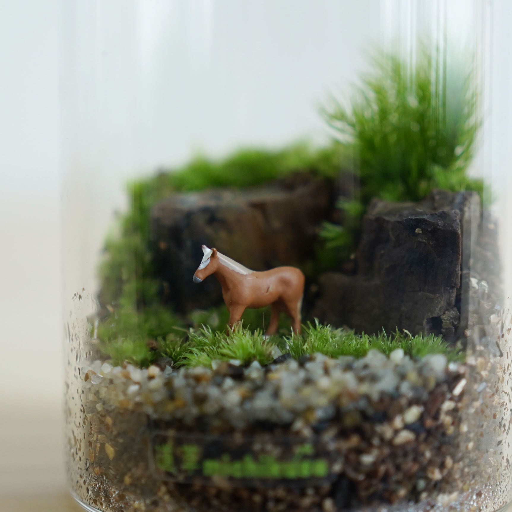 ミニチュアの世界】原野の馬の苔テラリウム シリンダー | 苔テラリウム