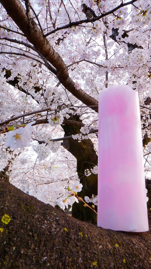 LIMITED MODEL 桜 〜Sakura〜 PILLAR CANDLE / LIMIT COLLECTION
