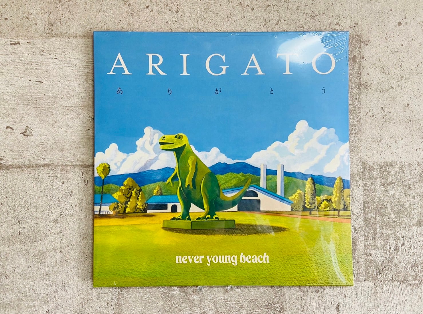 STORY never young beach  レコード LP