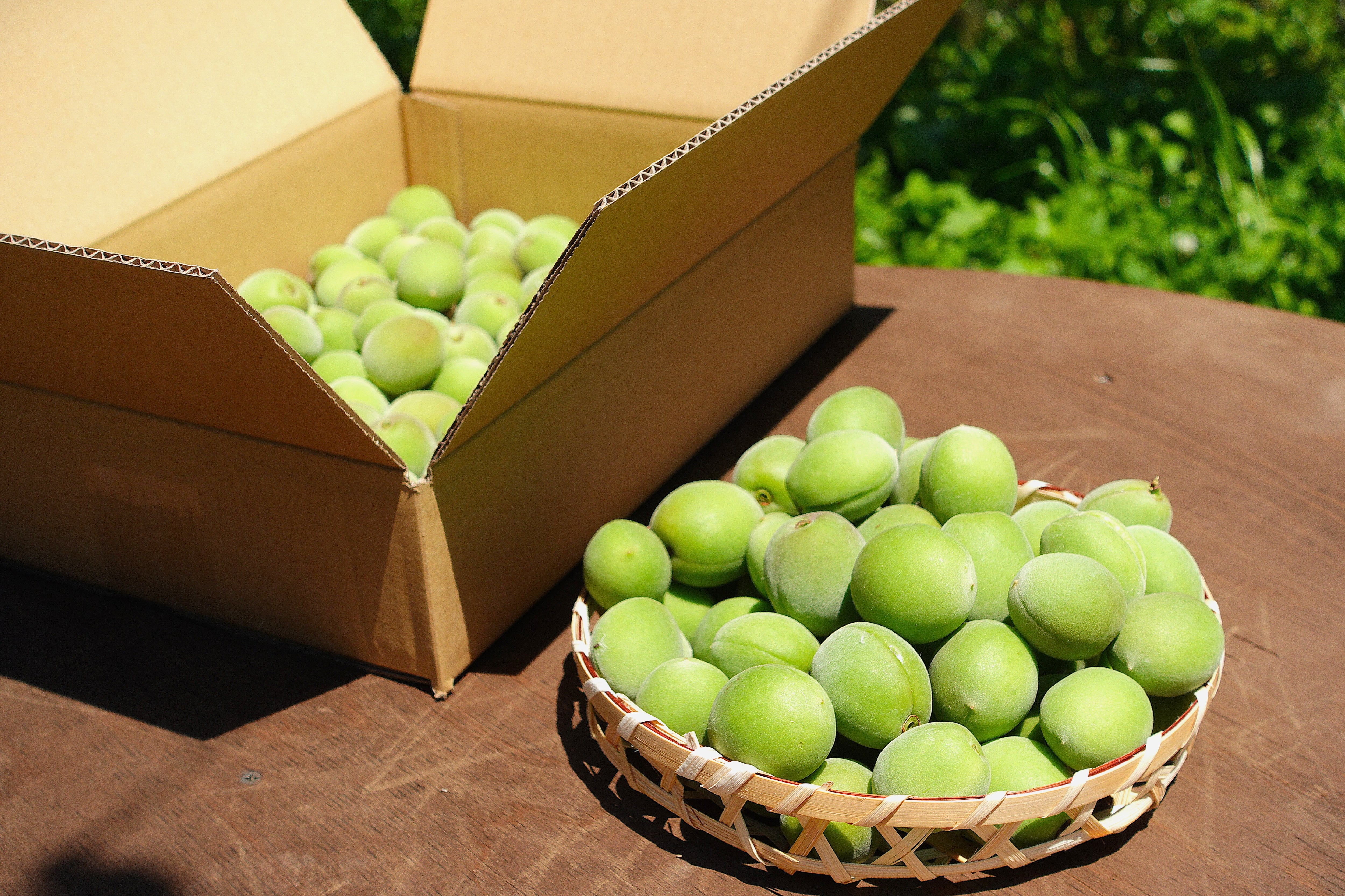 青梅 1kg | 本当の「おいしさ」と「安心・安全」をお届けします。