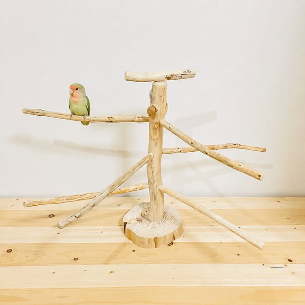 流木 バードスタンド Lサイズ 止まり木 インコ オウム 鳥用品 一点物 N4 Lサイズ 一点物の流木バードスタンド｜取り外しできる止まり木 インコ