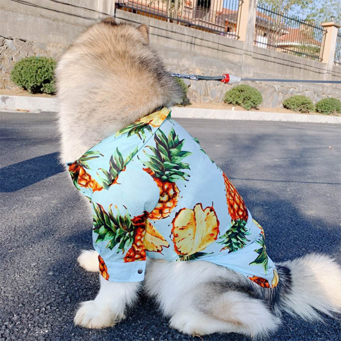 大型犬服ハワイアンスタイルペットシャツミディアム大型犬春犬 