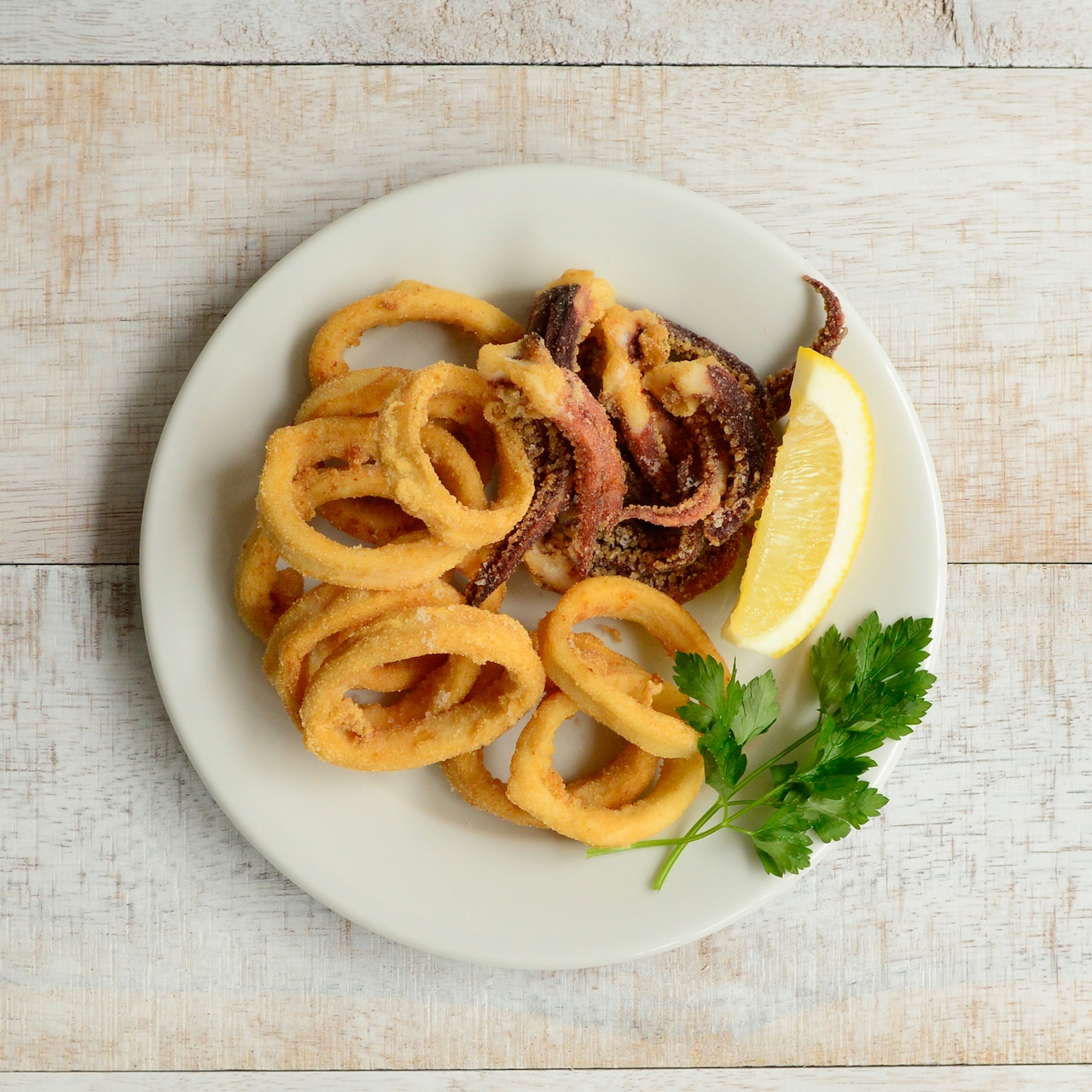 ポルバサル イサバ フラットプレート 18