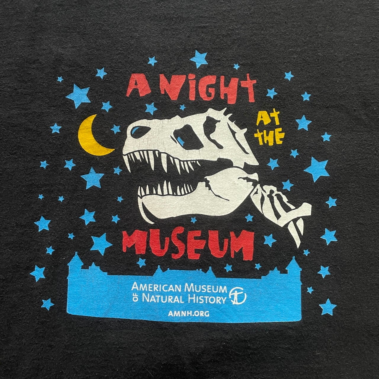 00年代 A NIGHT AT THE MUSEUM American Museum of Natural History 