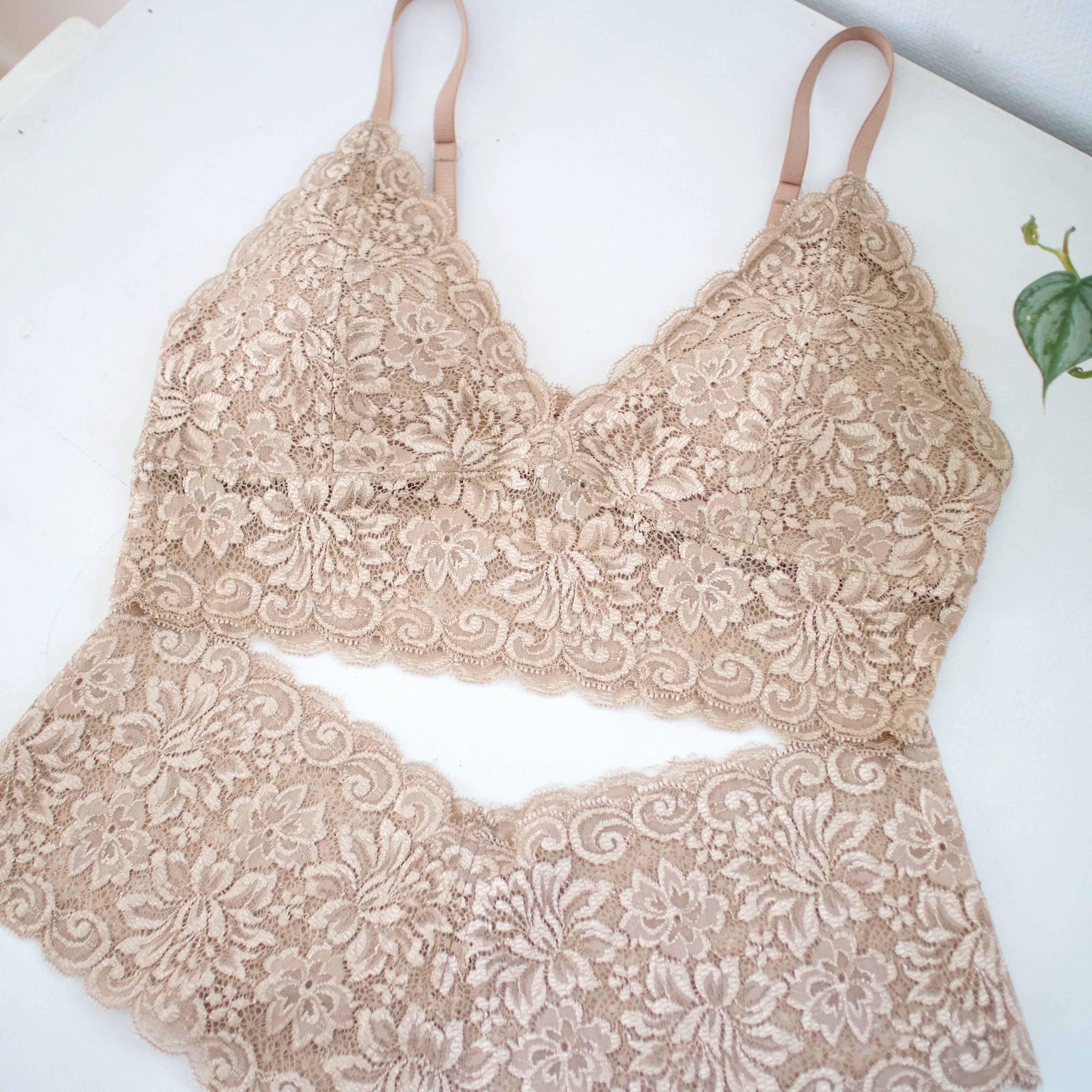 【ブラセット】ブラレット*フンティPunties* (ライトブラウン)