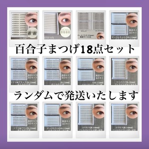 おまかせつけまつげ18点セット（ランダムセレクト)＋ピンセット　1Day使い捨て ※説明必読(アレルギー体質の方はご使用をお控えください)