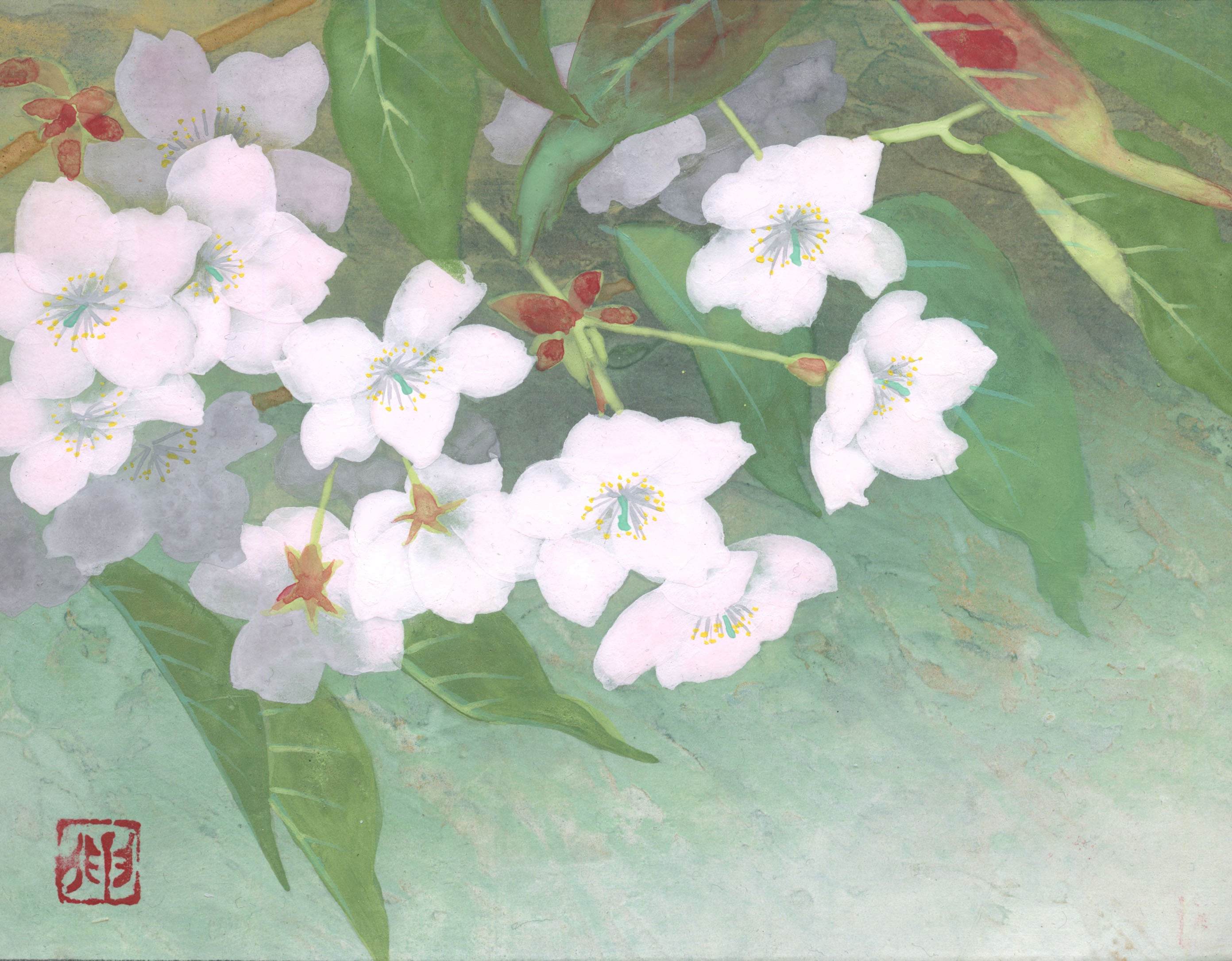 クレマチス（日本画）Clematis | 牧野伸英の日本画ショップ -Nobuhide
