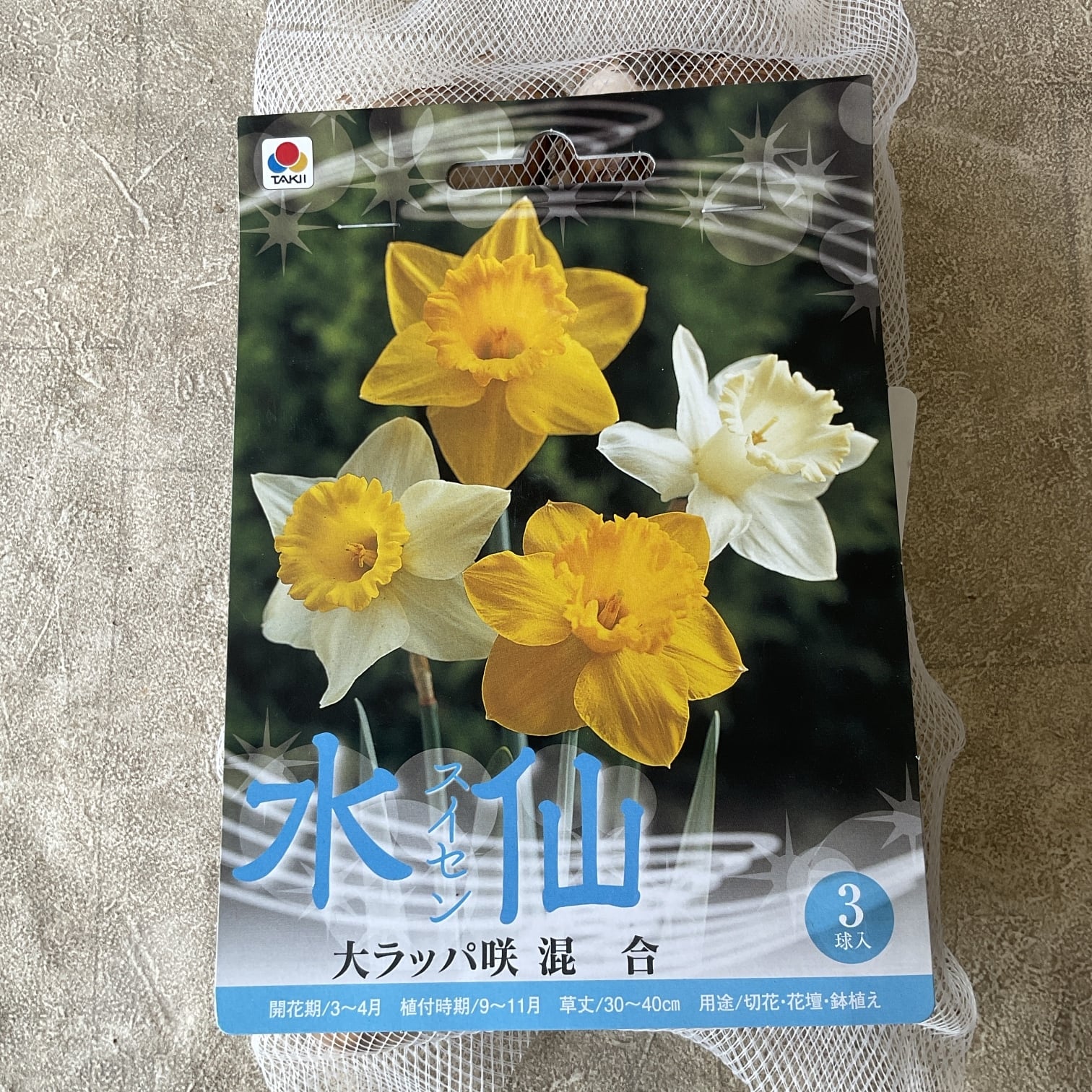 球根】水仙 スイセン 大ラッパ咲混合 3球入 | 橋本種苗園