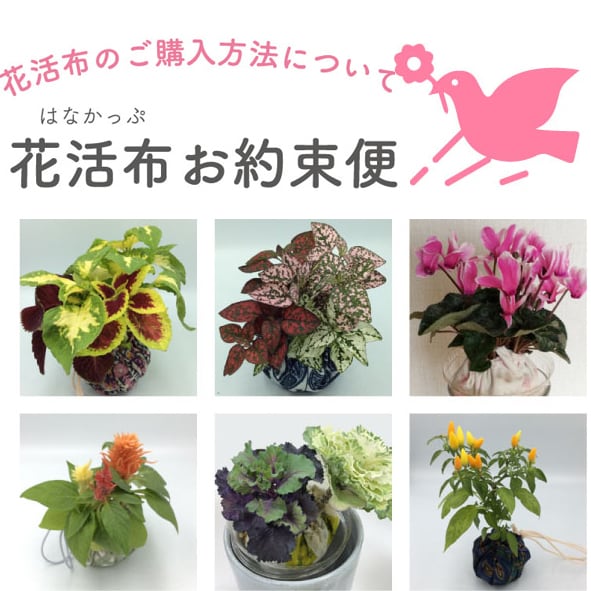 667684eb605e1810cd12af0a738a1a