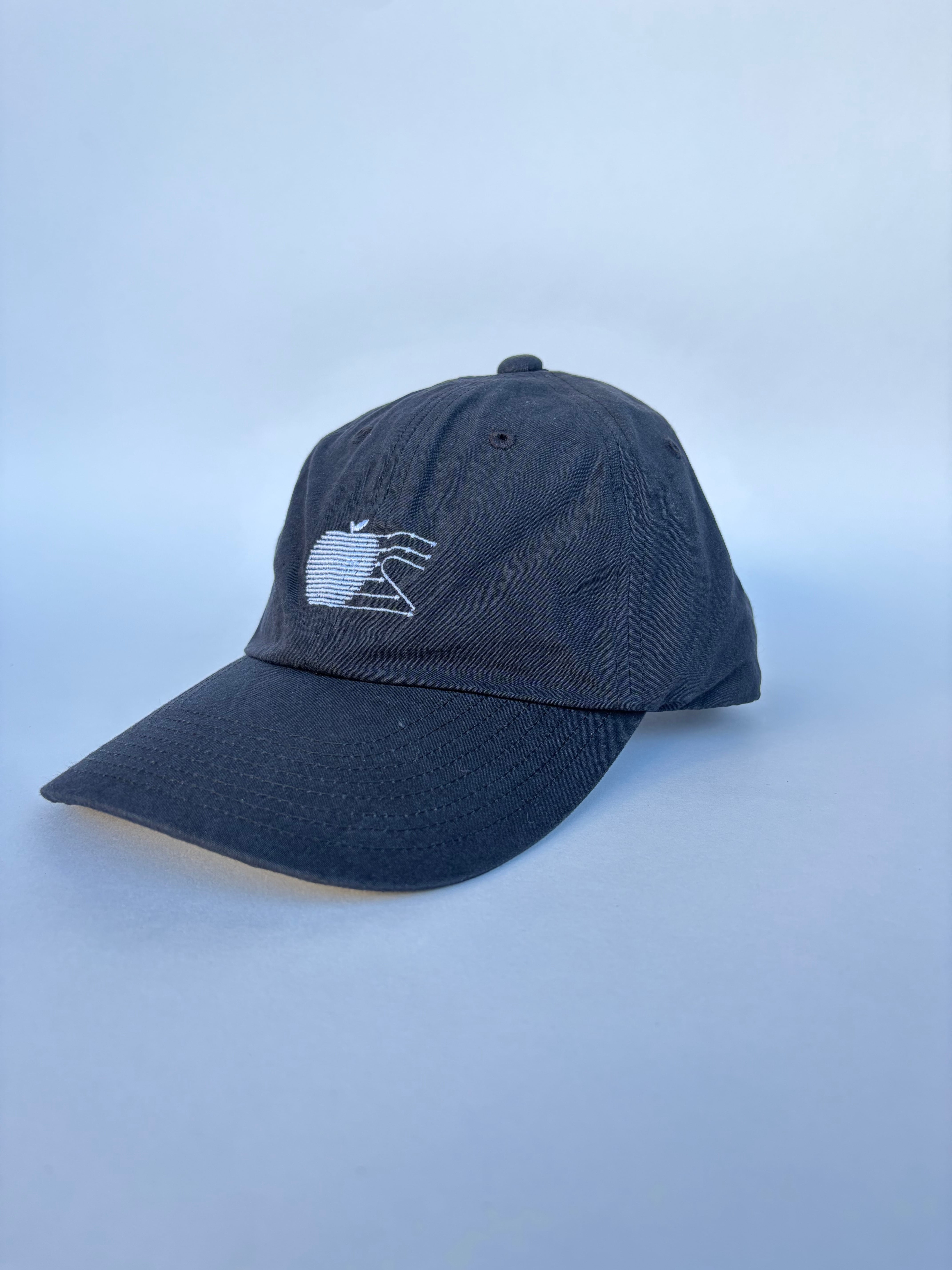 PORTANCE】FLOATING APPLE CAP - BLACK | standlobby
