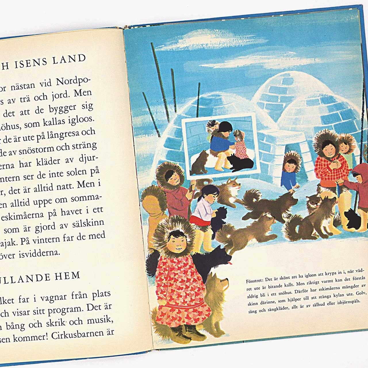 イロン・ヴィークランド：絵「Kom hem och hälsa på - en bilderbok om