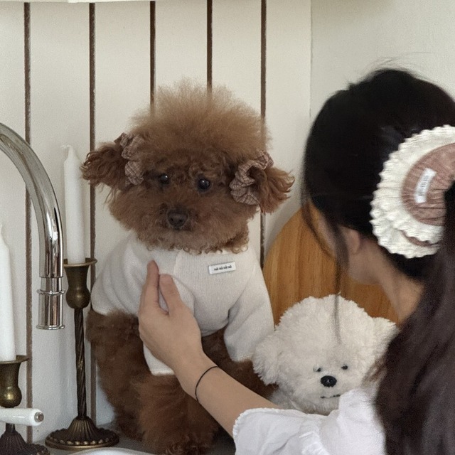 【予約】[tak!tak!tak!tak!] Fluffy Knit Series TOP（cream）