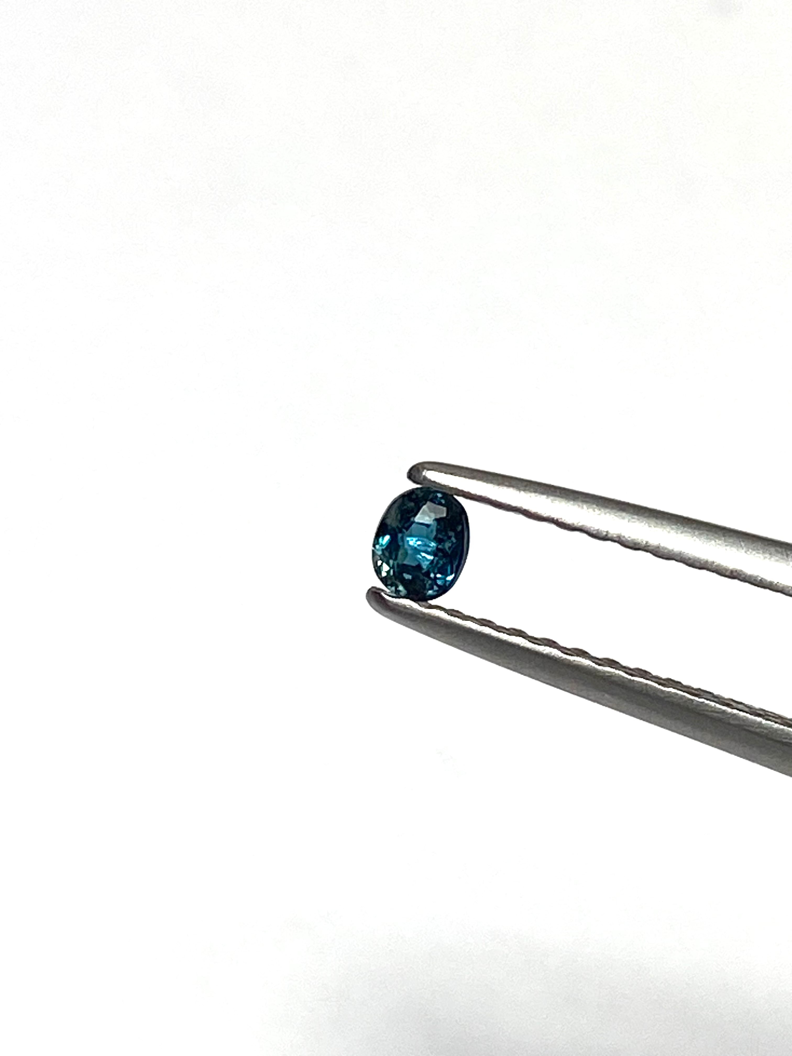 7.サファリン［No.HA-4264］ | デザインアトリエ -kakera-