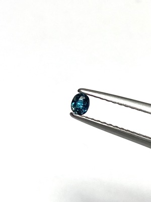 15.サファリン［No.HA-4475］