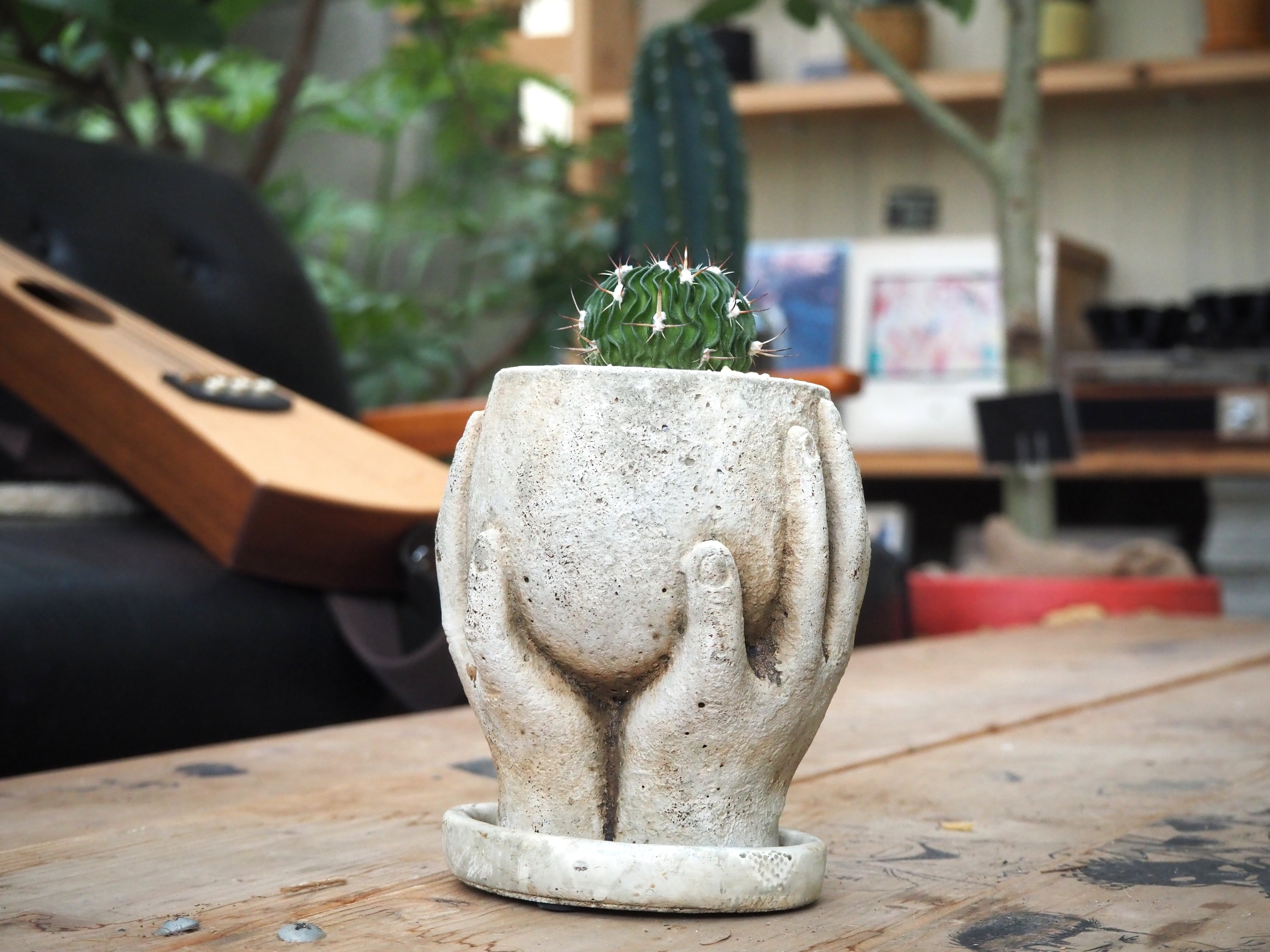 ALL ITEM | 高橋園芸