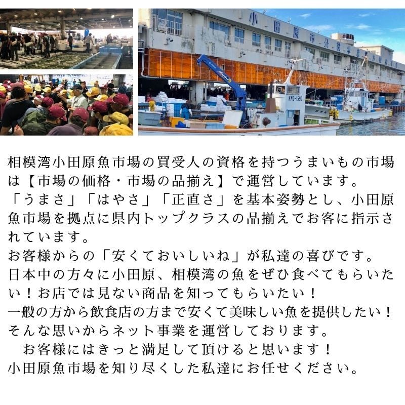 【チルド業務用】おつまみ・サラダ・煮物・焼き物に【冷蔵便】　3kg入り　ボイルやりいか　うまいもの市場