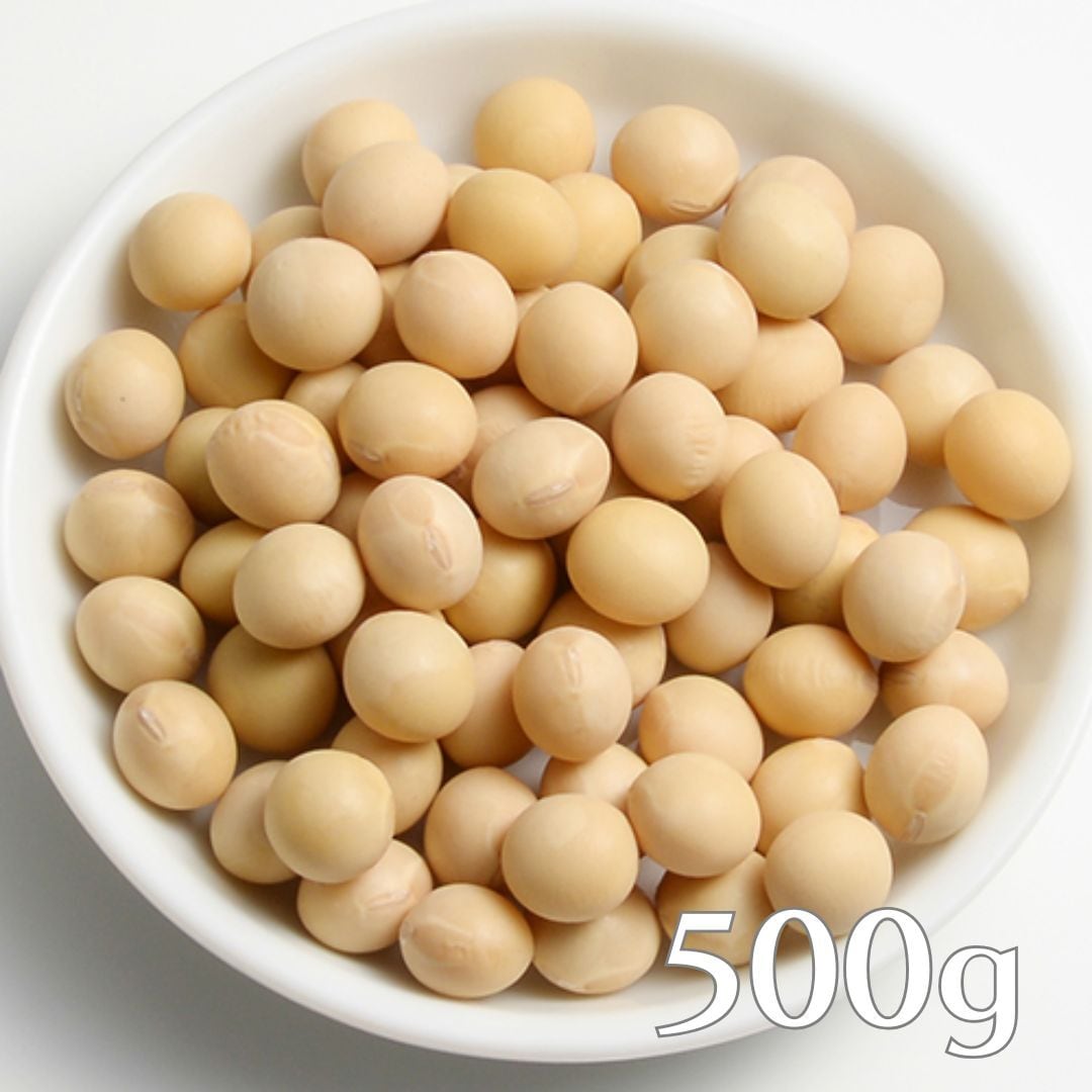 令和7年北海道産 とよまさり（白大豆）100g | TOKACHI HILLS. shop