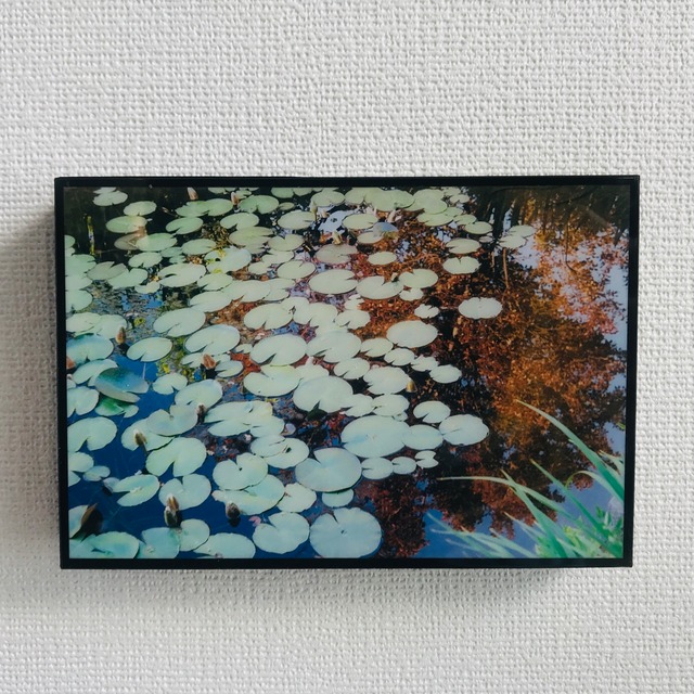 アートフォト タイル  Photo TILE #13