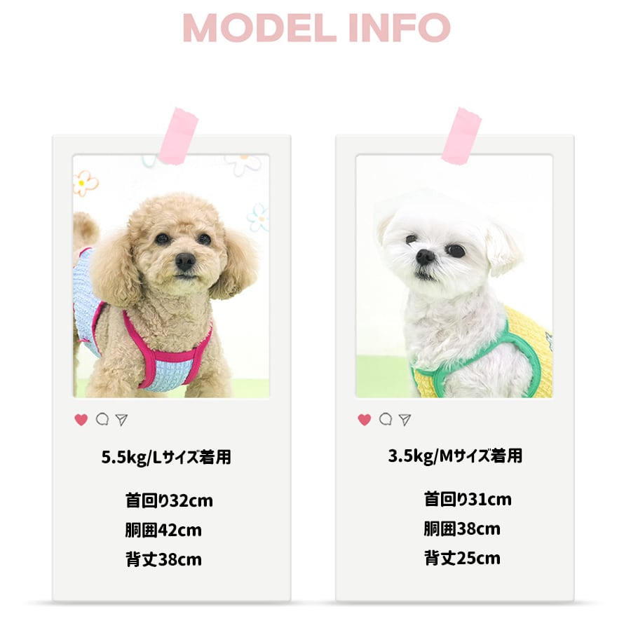 【予約商品5％OFF】triple flower bubble crop t-shirt S ~ XL 2color  /  犬服 春夏 新作 可愛い 犬の服 Tシャツ ショート丈 トップス crop top お揃い ドッグウェア 涼しい ストレッチ シンプル