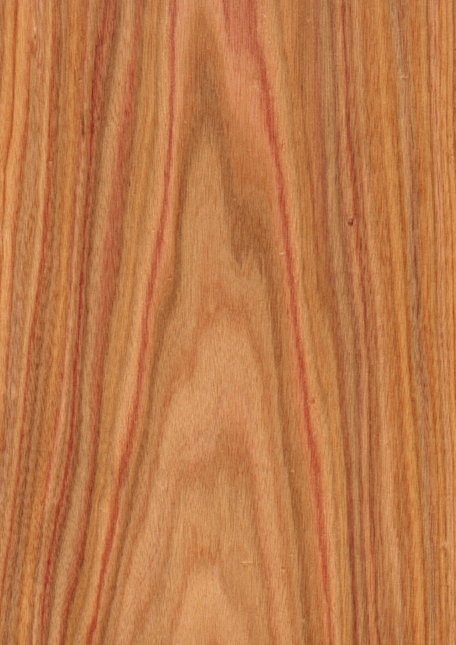 天然木ツキ板シート　サテンシカモア　
