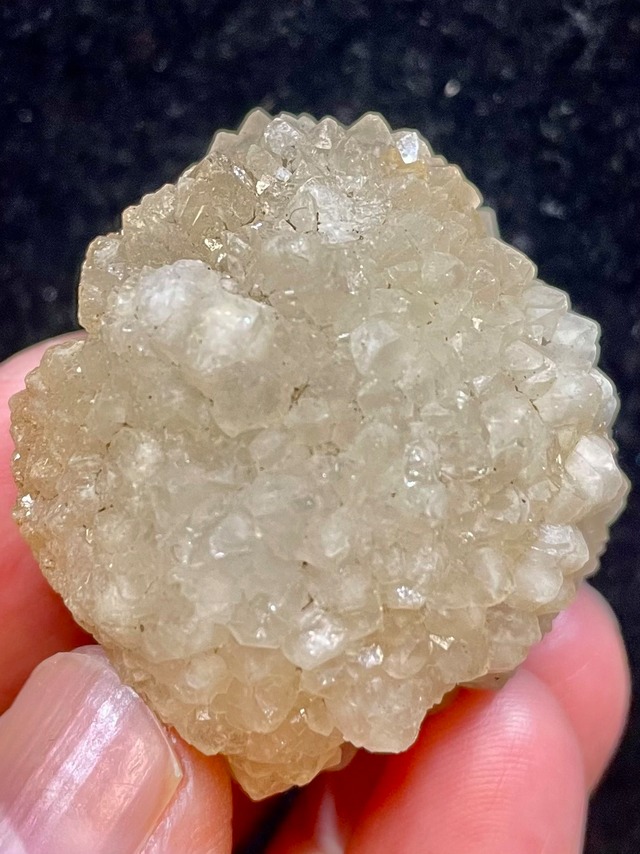 7) 超ボルテックス・パワー！「セドナ・レムリアン・カクタス」クオーツ(中型)