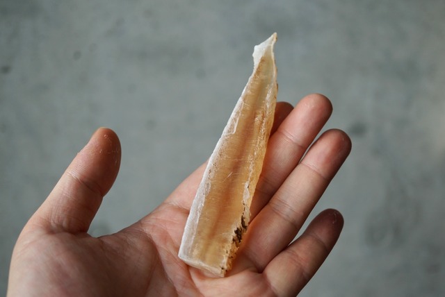 スペイン産バイカラーセレナイト Selenite  1077