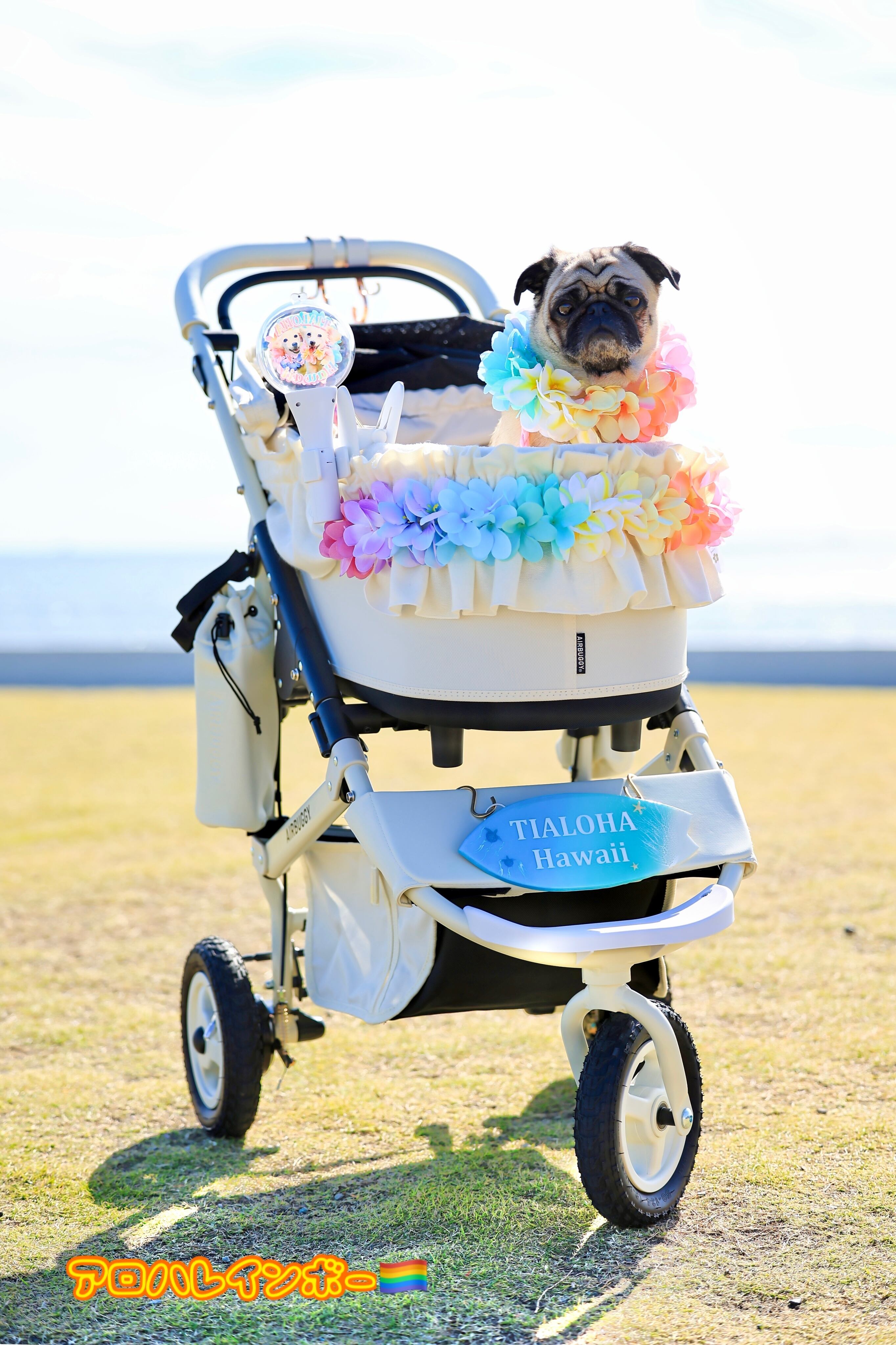 アロハレインボー