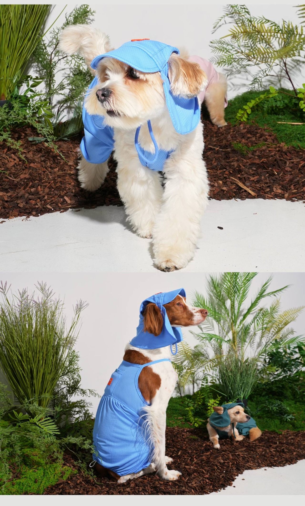 【PUPPYGALLERY公式】Jelly Bear Sun Hat　S-M