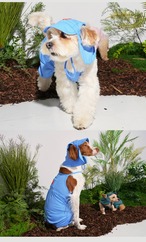 【PUPPYGALLERY公式】Jelly Bear Sun Hat　S-M