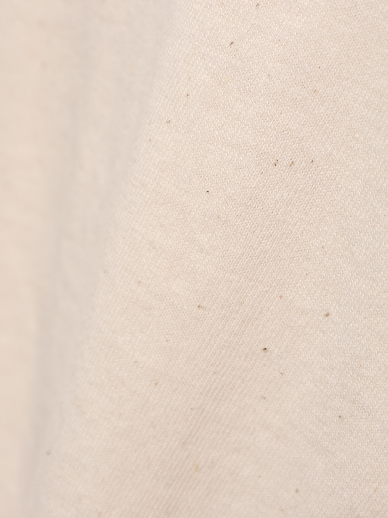 Deadstock L Patagonia Beneficial T’s ナチュラル パタゴニア ベネフィシャルT ベネT Tシャツ 生成り 白