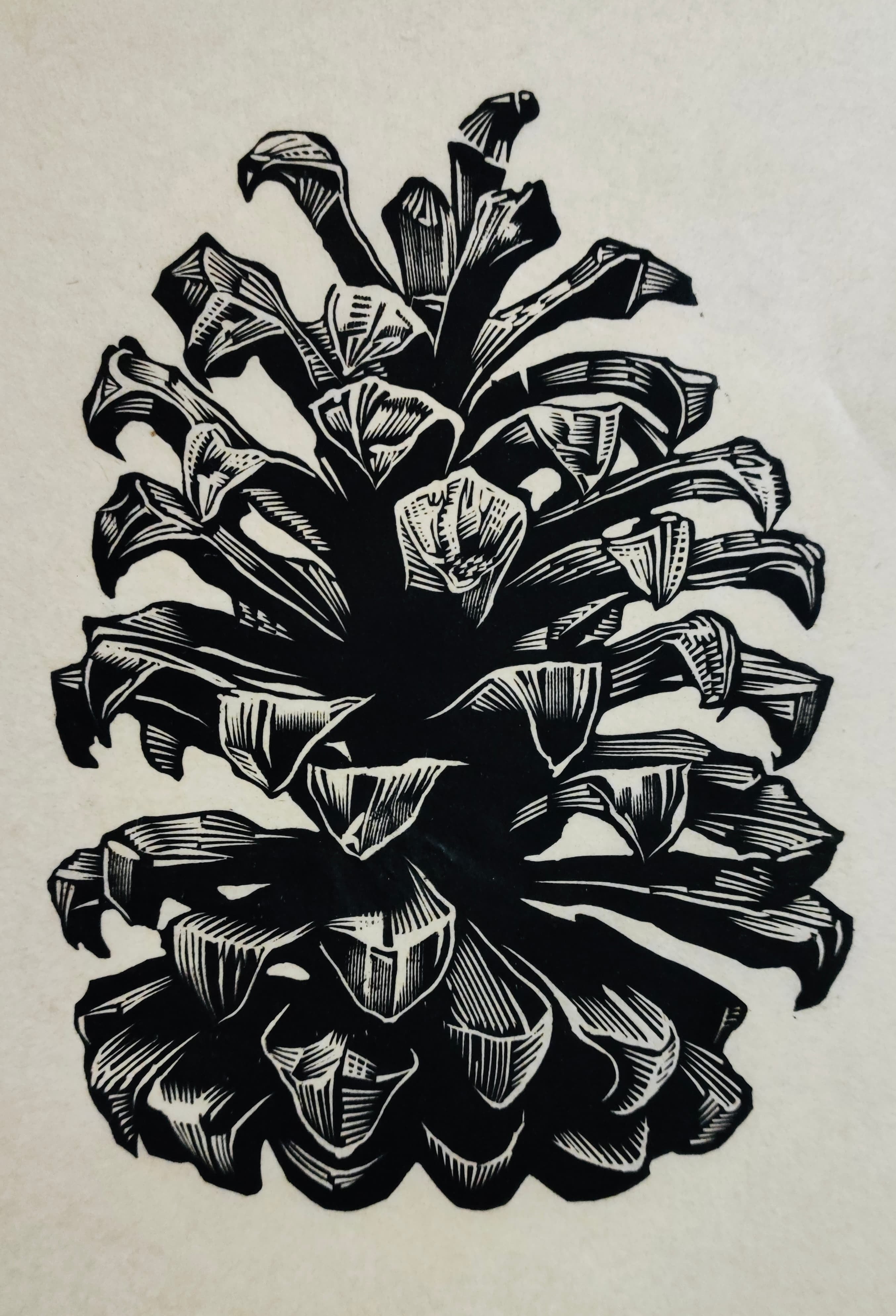 原画 『 カラスウリ 』 水彩画 烏瓜の絵 | Pay ID