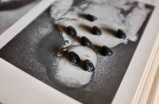 1900s フランス 漆黒の満月と世紀末的黒ボタンセット jais フレンチジェット アンティーク