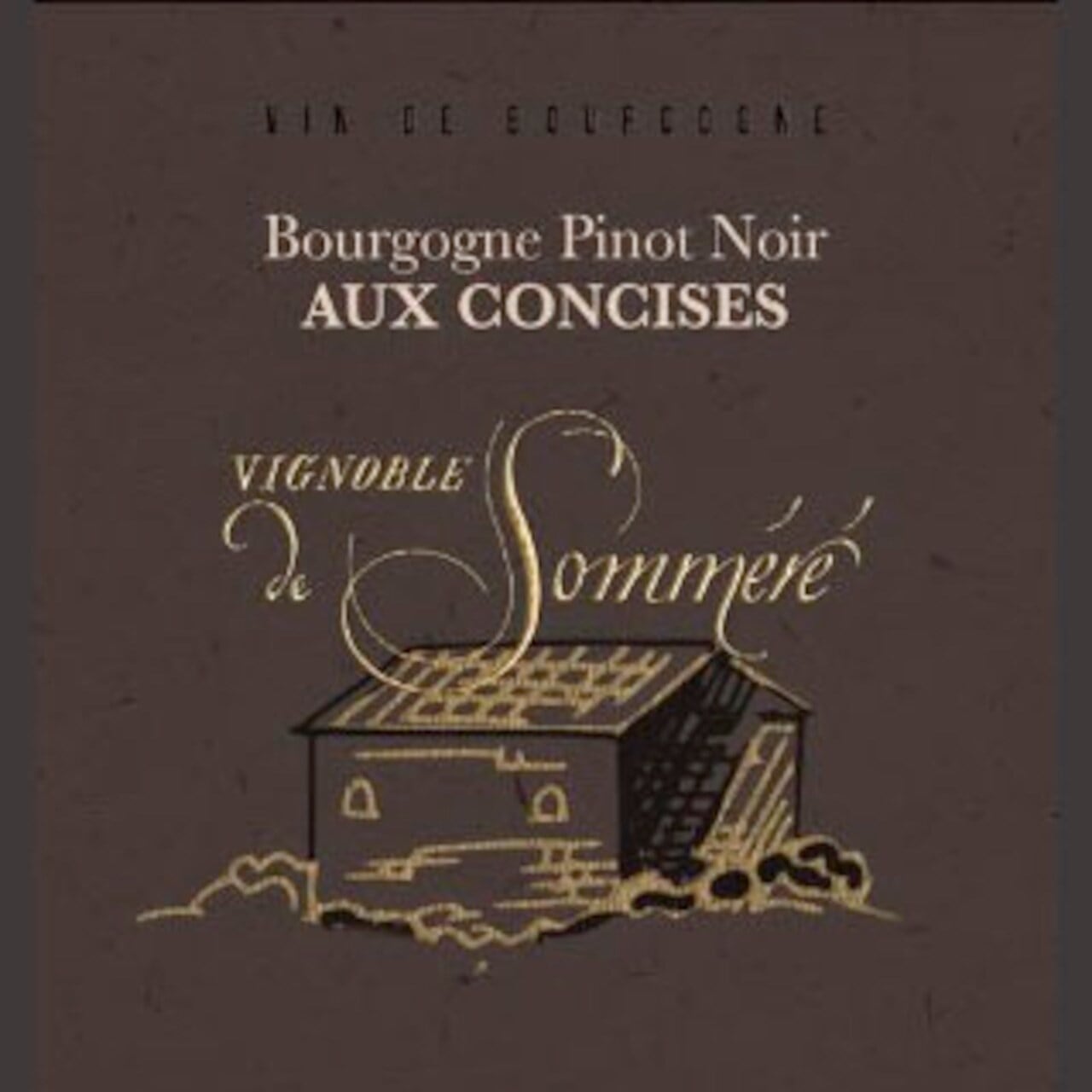 ブルゴーニュ ピノ・ノワール ≪オー コンシーズ≫　22　ヴィニョーブル ド ソメレ　Bourgogne Pinot Noir ≪Aux Concise≫ 22 Vignoble de Somméré