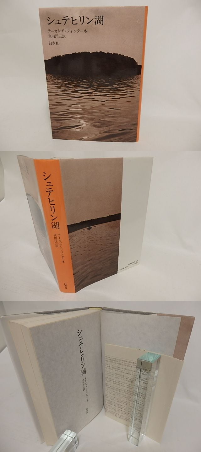 シュテヒリン湖 テーオドア フォンターネ 立川洋三訳 テオドール フォンターネ 書肆田高
