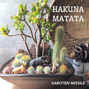 お取り置き作品 Hakuna Matata !!