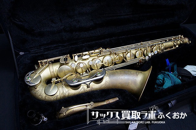 Dave Guardala EARTH TONE デイヴ・ガーデラ ☆アーストーン 中古 
