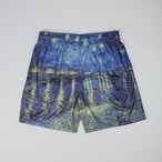 RECEPTION  Short Starry Night Over the Rhône limited edition