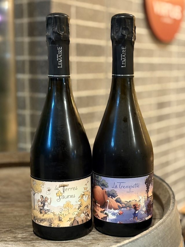 ★限定1セット★ジャック・セロス系譜3生産者のバックヴィンテージ含むセット