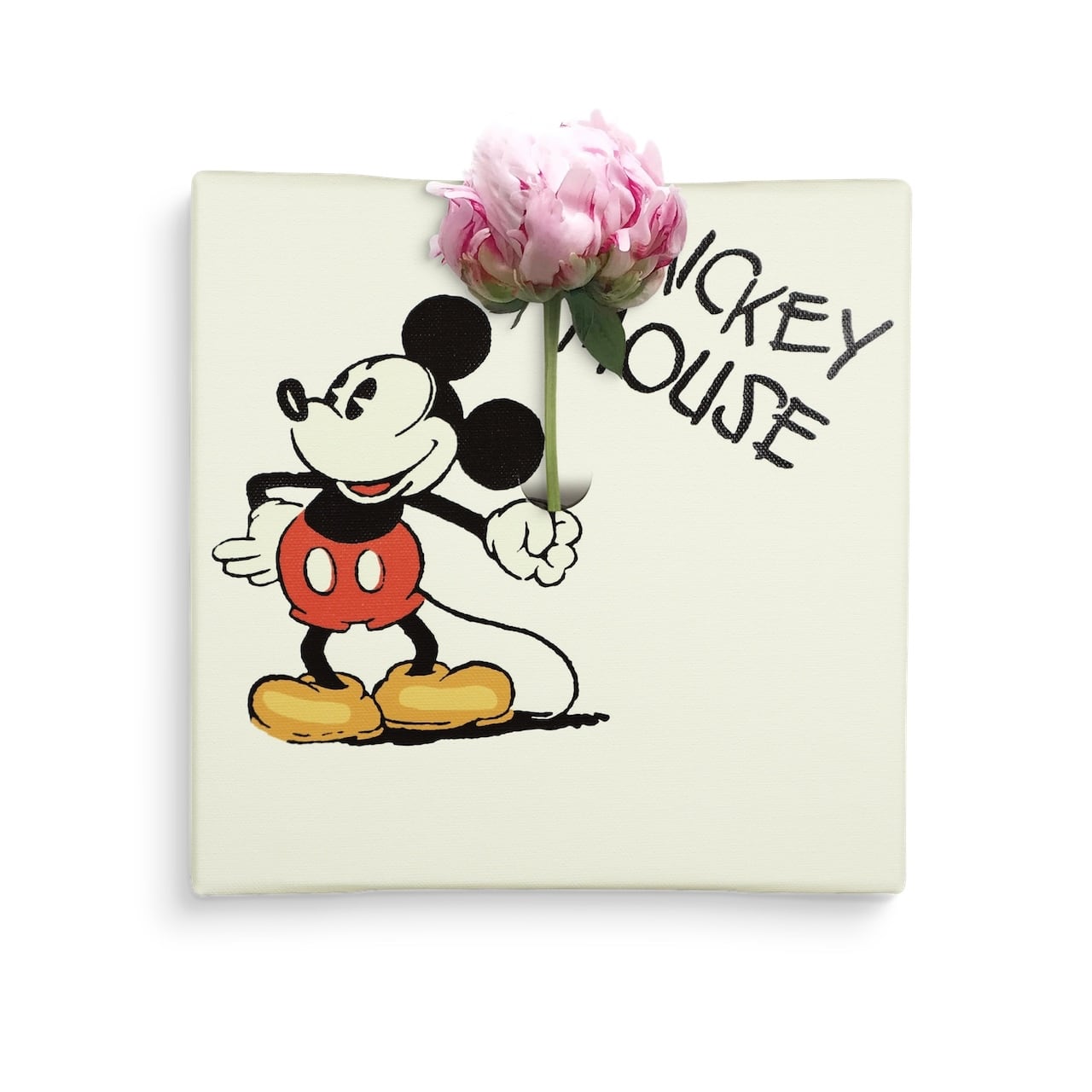 66a4d97e6f6d8dd7f485c20ad2e3d9