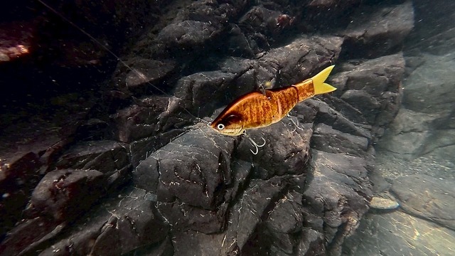 RomanMade×アユムプロダクト S-QUAD Type-S