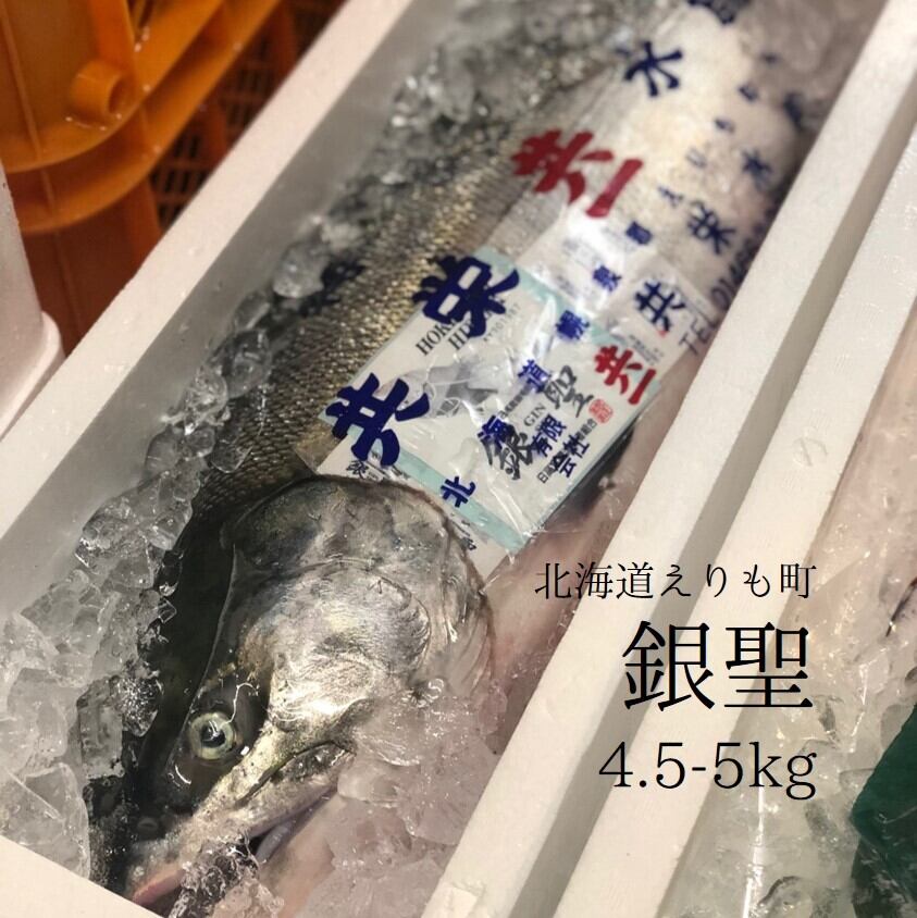 銀聖 メス 北海道幌泉郡えりも町産 究極の秋鮭 1尾3.5-4kgサイズ【銀聖3.5-4㎏x1】冷蔵