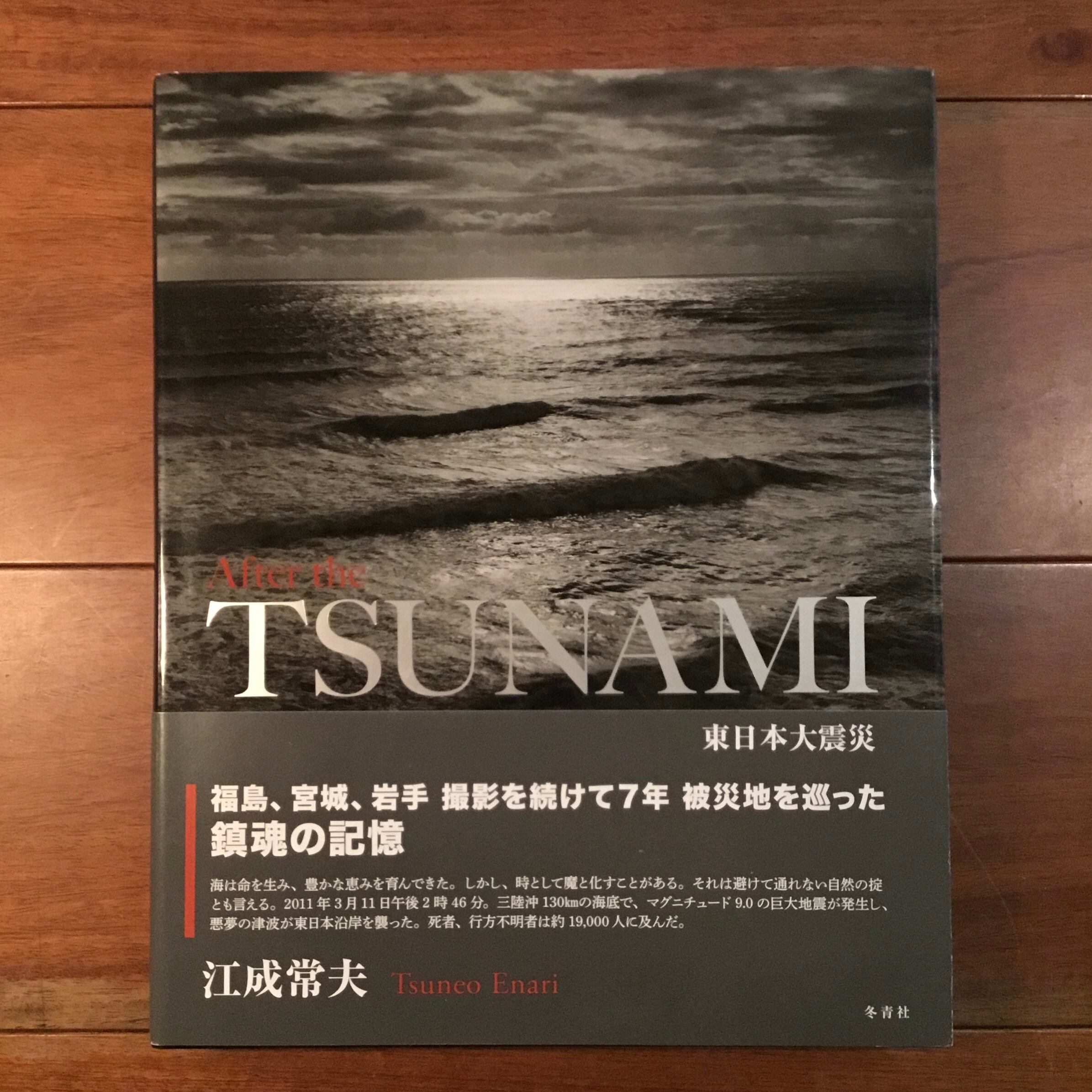自然主義の可能性 現代社会科学批判 | Flying Books